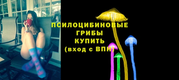 mix Богородицк