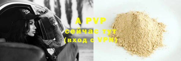 apvp Богданович